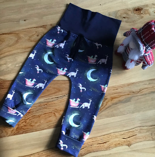 Evolutionary harem pants the dinosaurs🦕 of Christmas