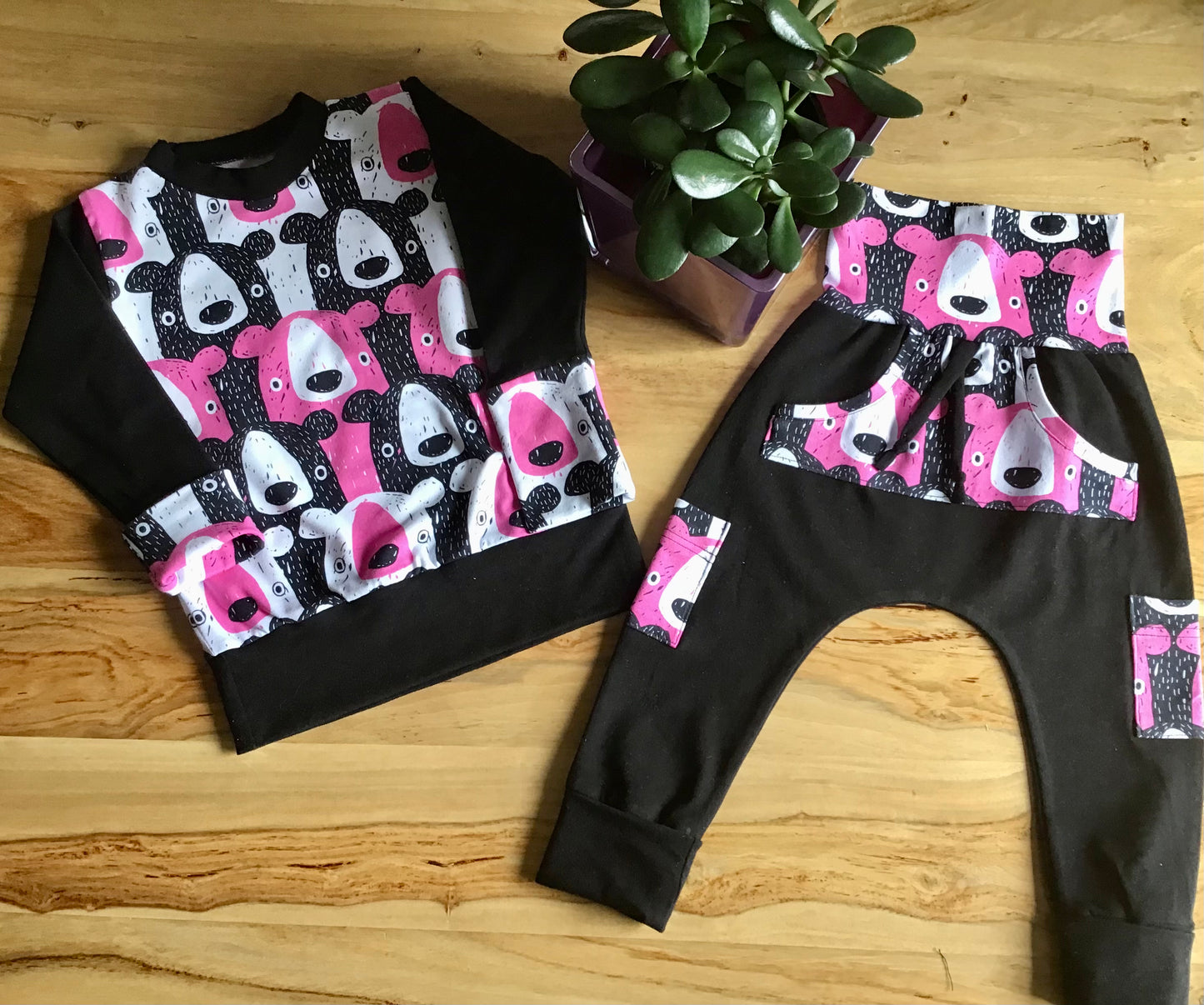 Evolutionary Hoodie and Harem pants the cubs ready to go G: 6 to 36 months