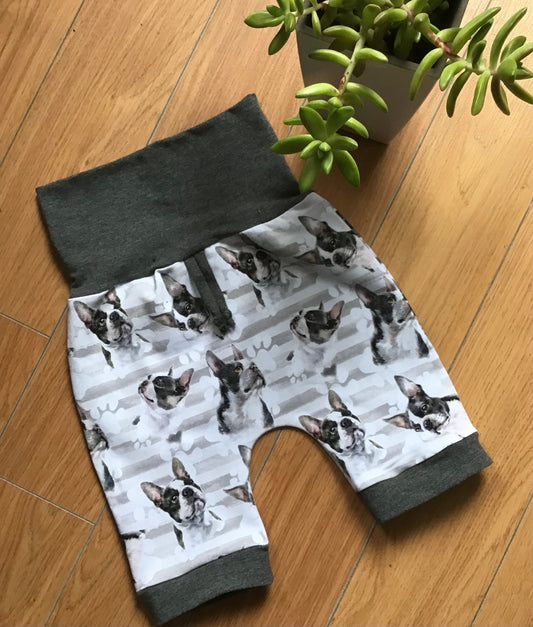 Evolutionary shorts for dogs gr: 6 to 36 months Ready to eat