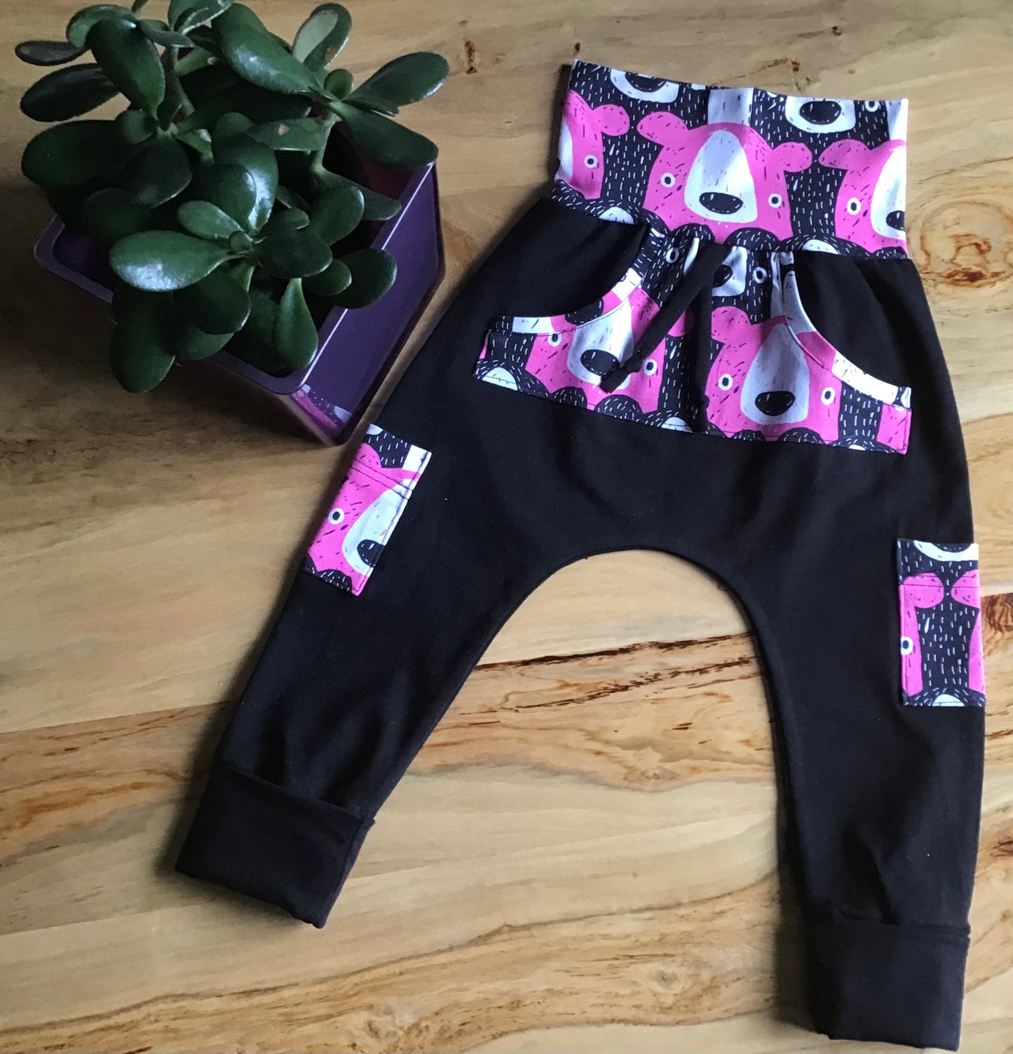 Evolutionary Hoodie and Harem pants the cubs ready to go G: 6 to 36 months